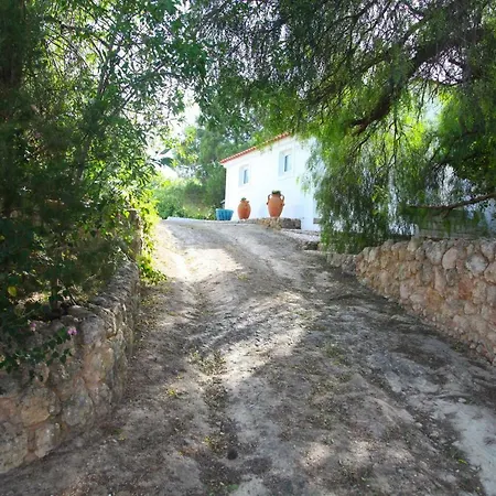 Quinta Teresinha